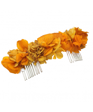Comb flowers