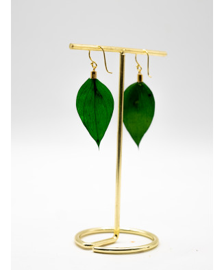 Ruscus leaf | Short hook