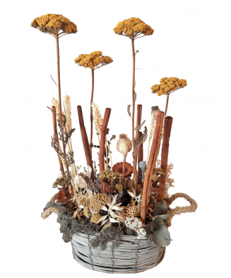 Wooded forest center